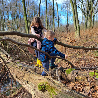 Zeit für Bewegung im Wald Zeit für Bewegung im Wald