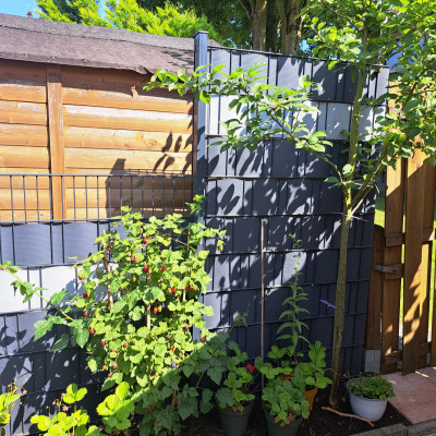 Das Obstgärtchen Das Obstgärtchen